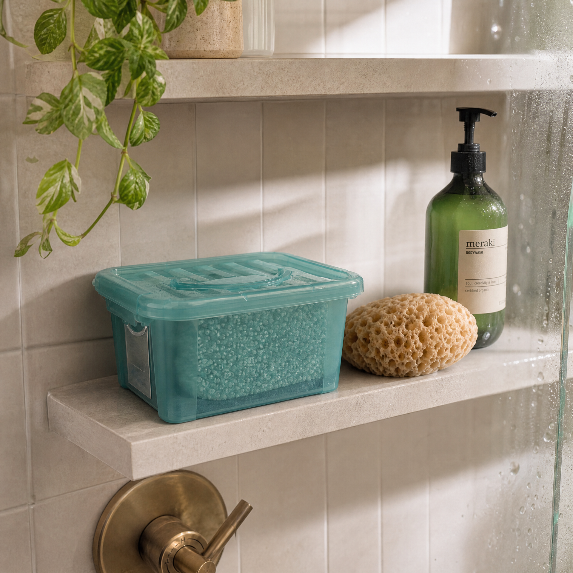 Caja Organizadora con Esponja Exfoliante