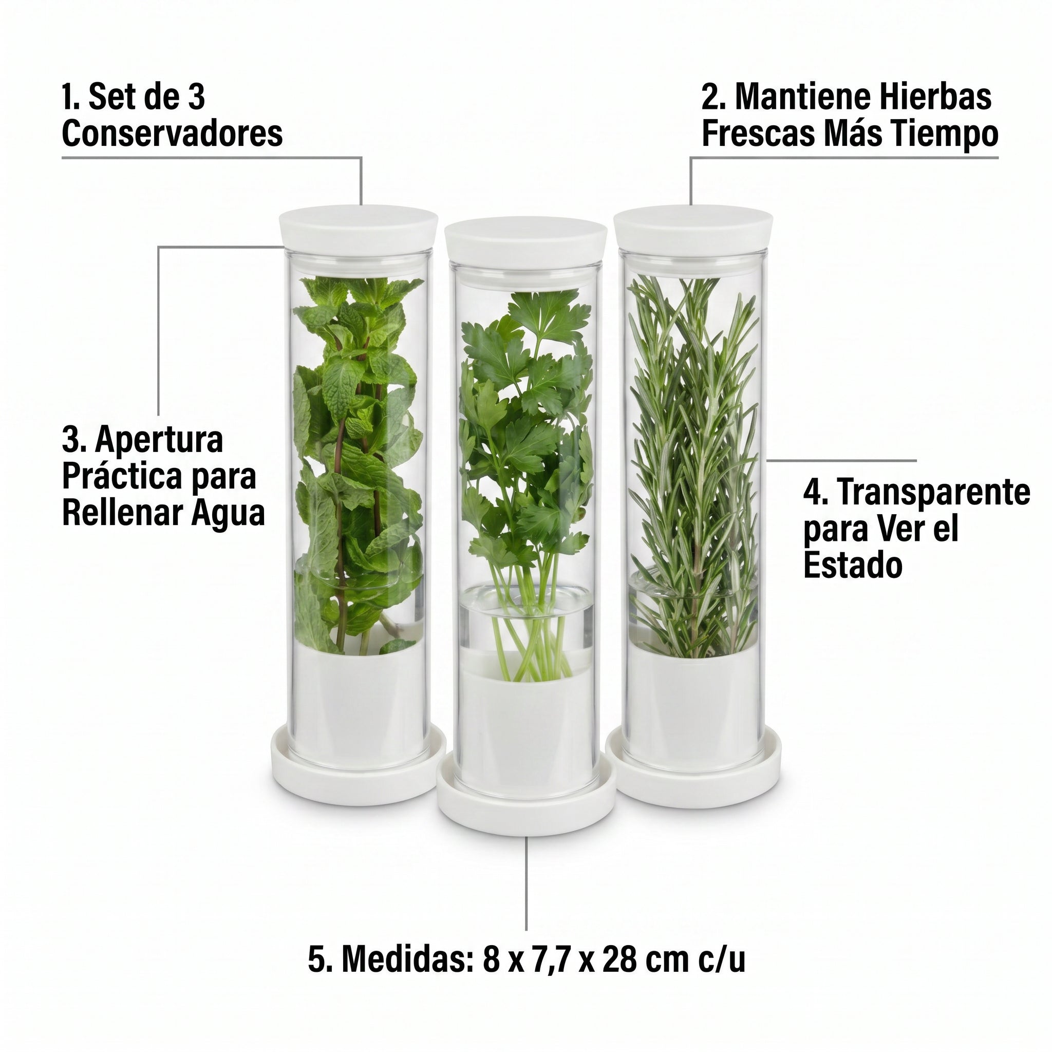 Set 3 Conservadores de Hierbas Frescas Livarno Home