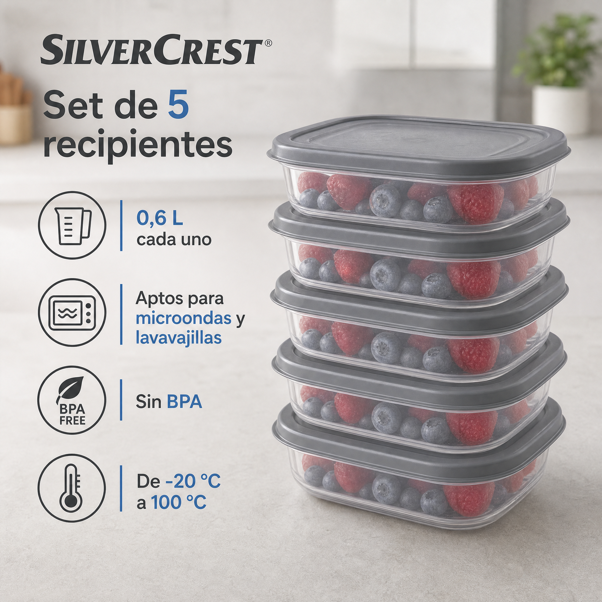 SILVERCREST Set de 5 Recipientes 0,6 L con Tapas Grises