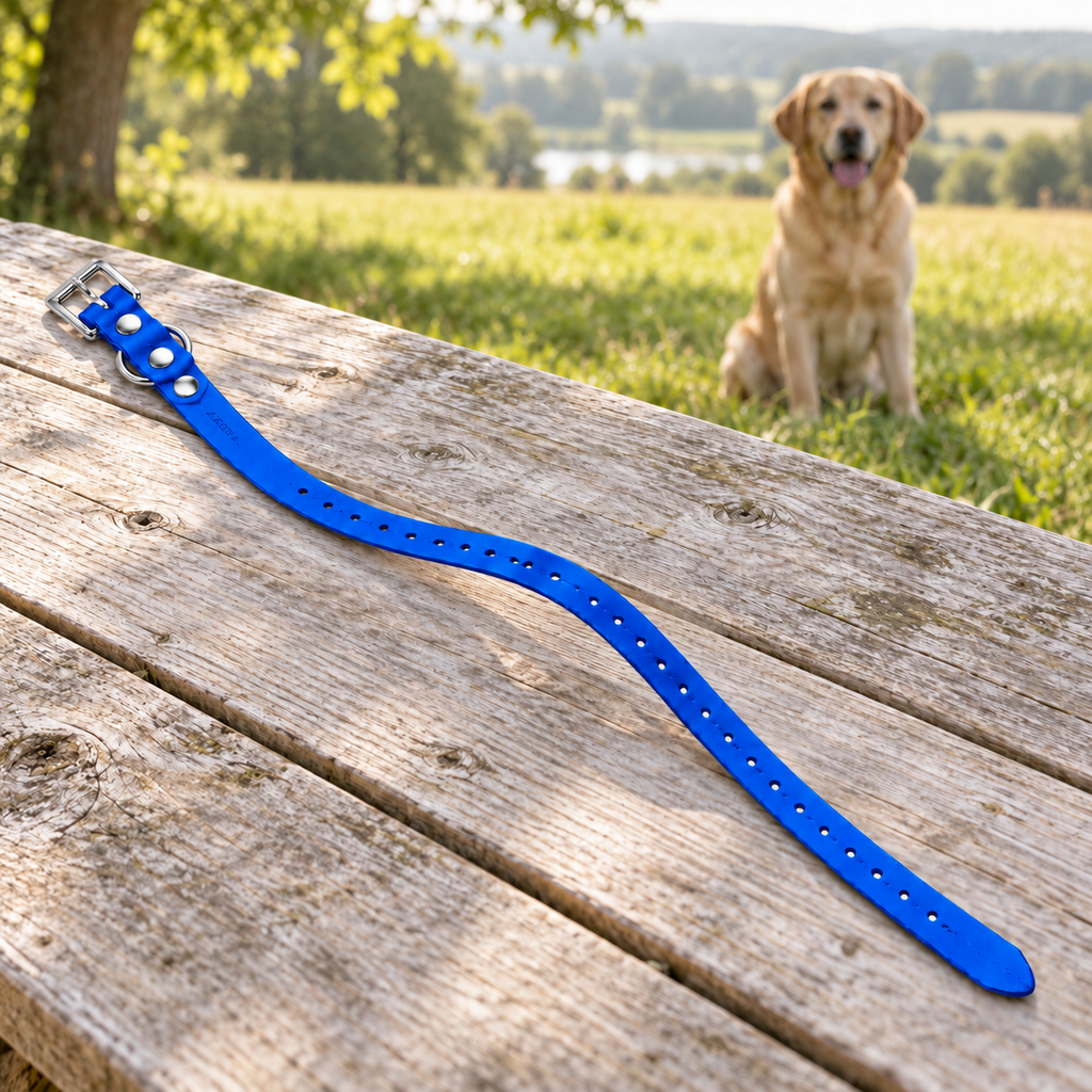 Collar Arcea Polytec azul preparado sobre una mesa para un paseo con el perro