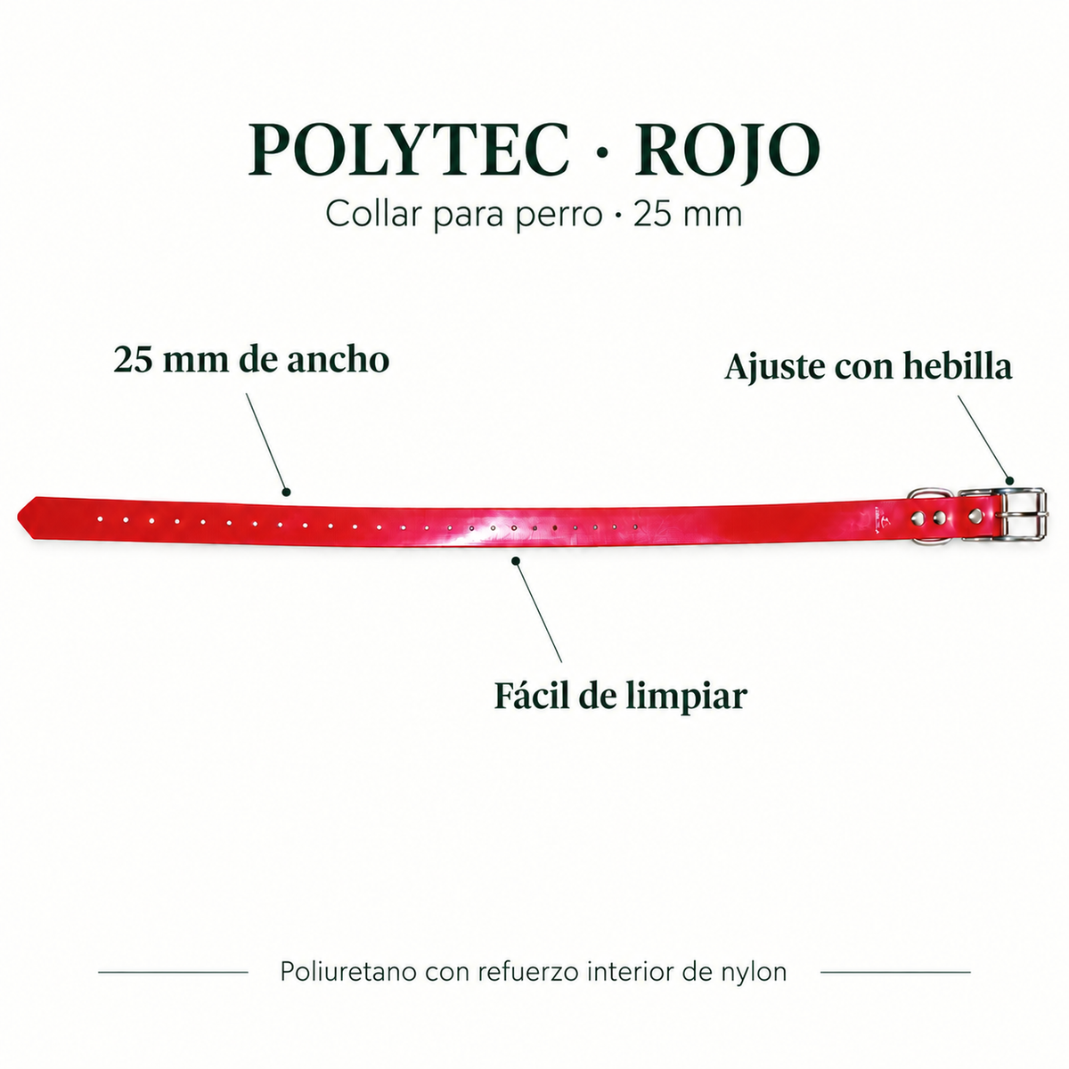 Características del collar Arcea Polytec rojo: 25 mm de ancho y hebilla ajustable