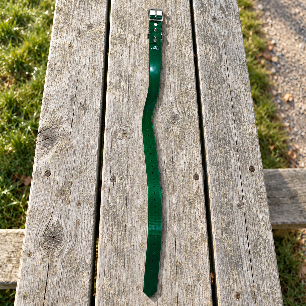 Collar Arcea Polytec verde oscuro de 25 mm preparado para un paseo por el campo