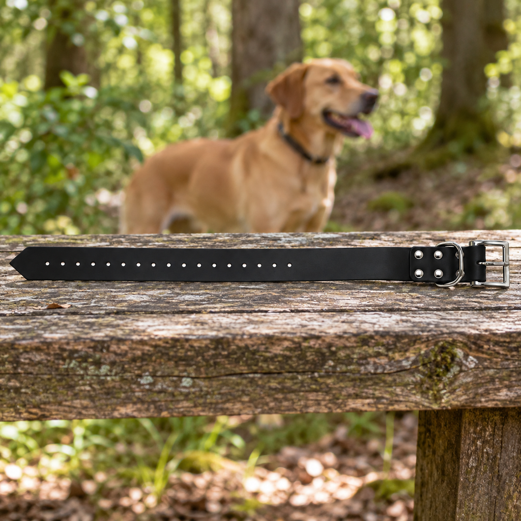 Collar Arcea Polytec negro de 38 mm preparado para un paseo con el perro