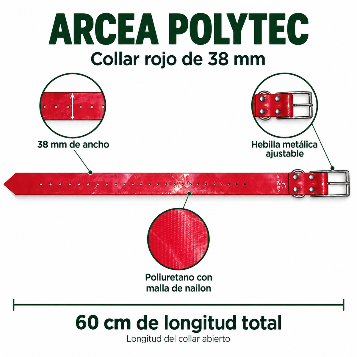 Características del collar Arcea Polytec rojo: 38 mm de ancho y hebilla ajustable
