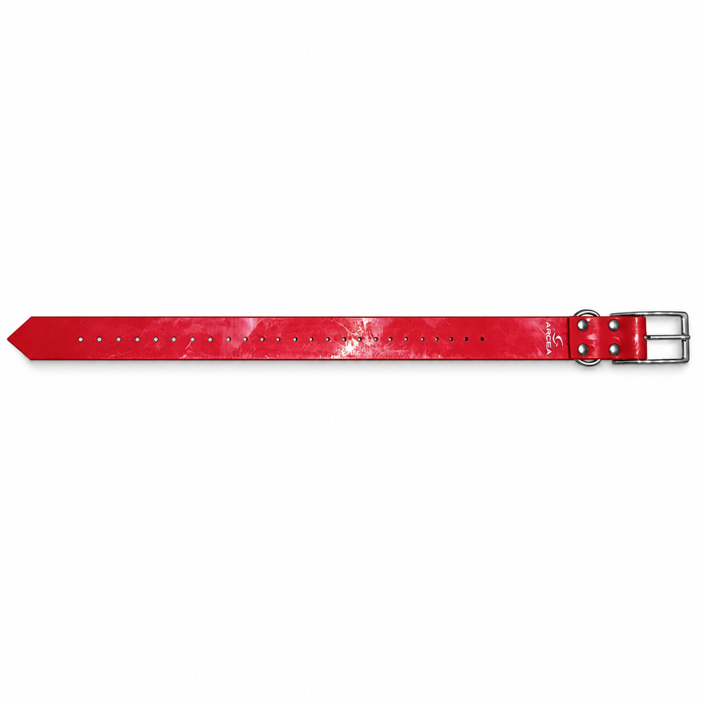Collar Arcea Polytec rojo de 38 mm sobre fondo blanco