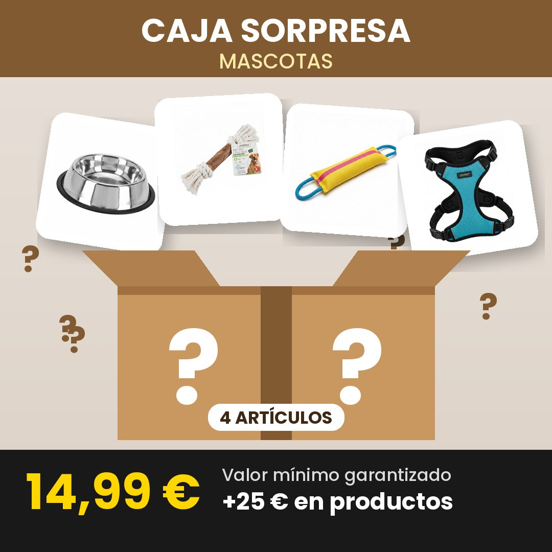 Caja Sorpresa Mascotas — 4 Artículos para tu Perro