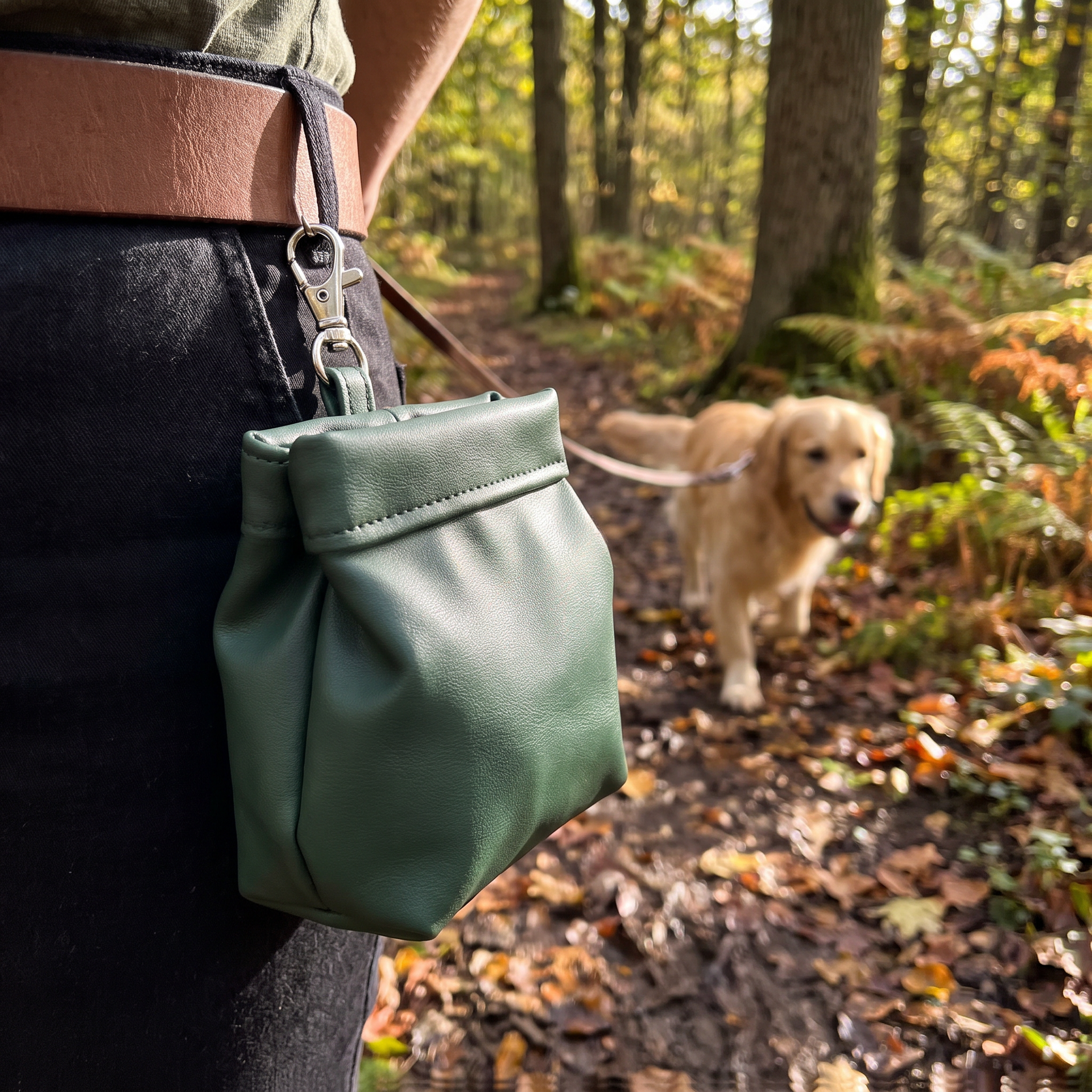 Zoofari Bolsa Porta-Premios para Perro Verde