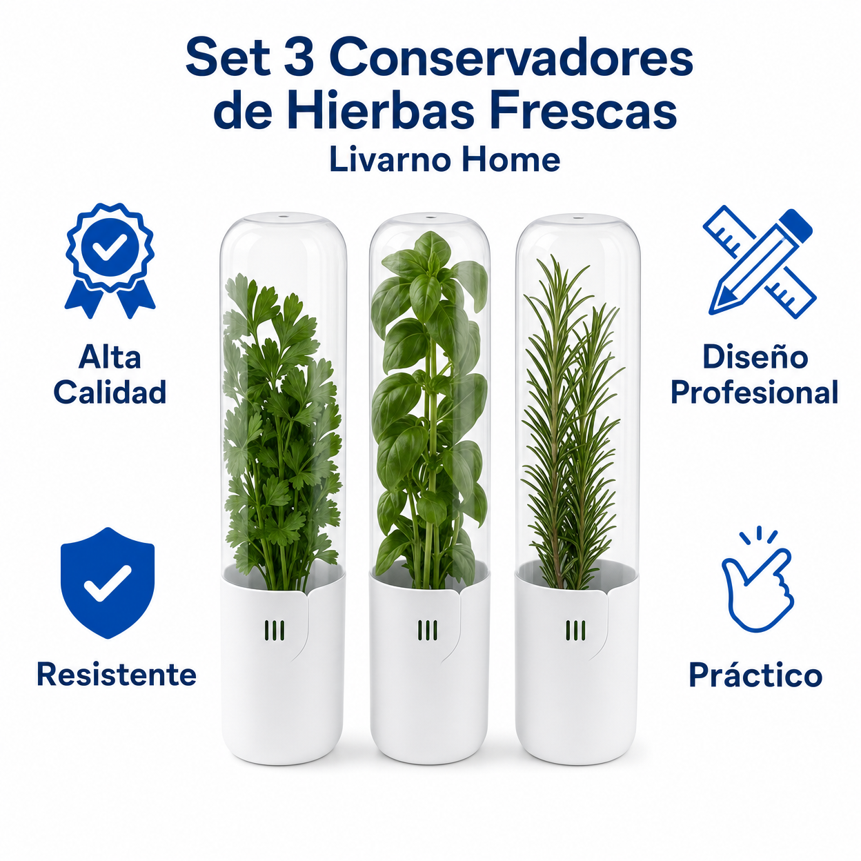Set 3 Conservadores de Hierbas Frescas Livarno Home