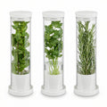 Set 3 Conservadores de Hierbas Frescas Livarno Home