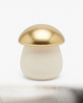 Vela Aromática Seta HOME CREATION — Tonka Bean & Almond