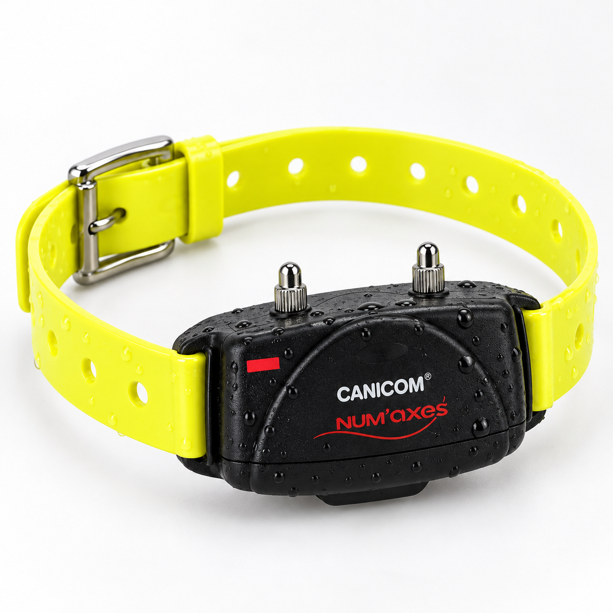 Detalle impermeable del receptor NUM'AXES Canicom con correa amarilla