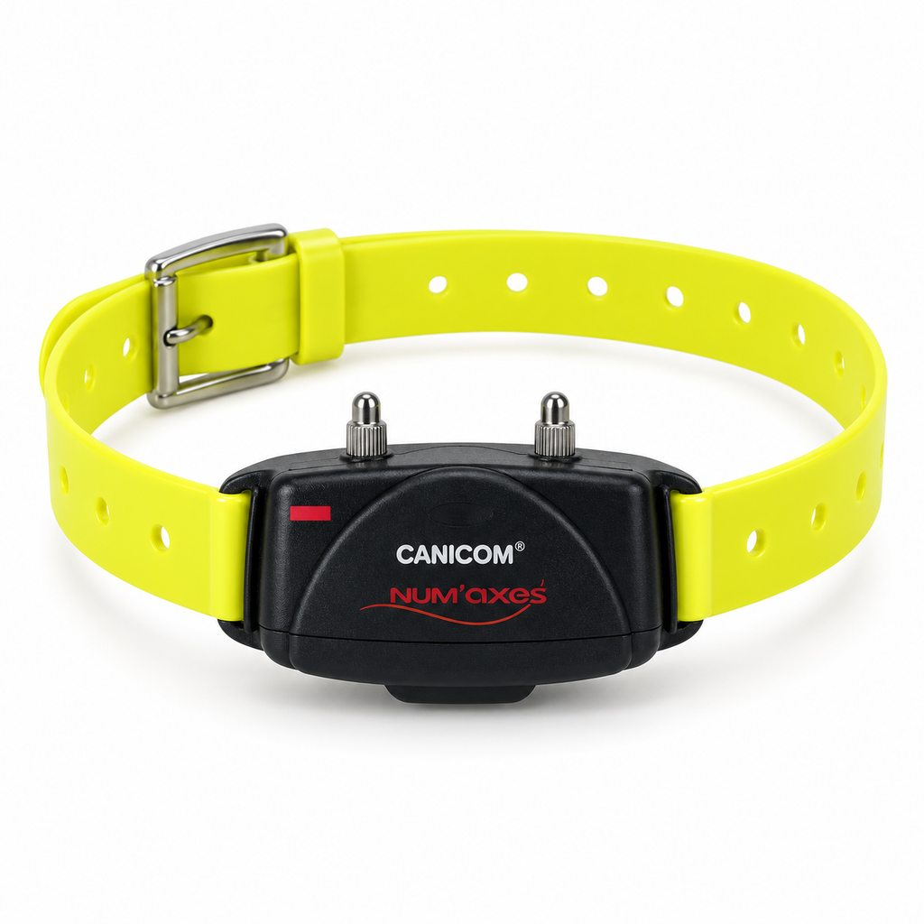 Collar receptor adicional NUM'AXES Canicom amarillo sobre fondo blanco