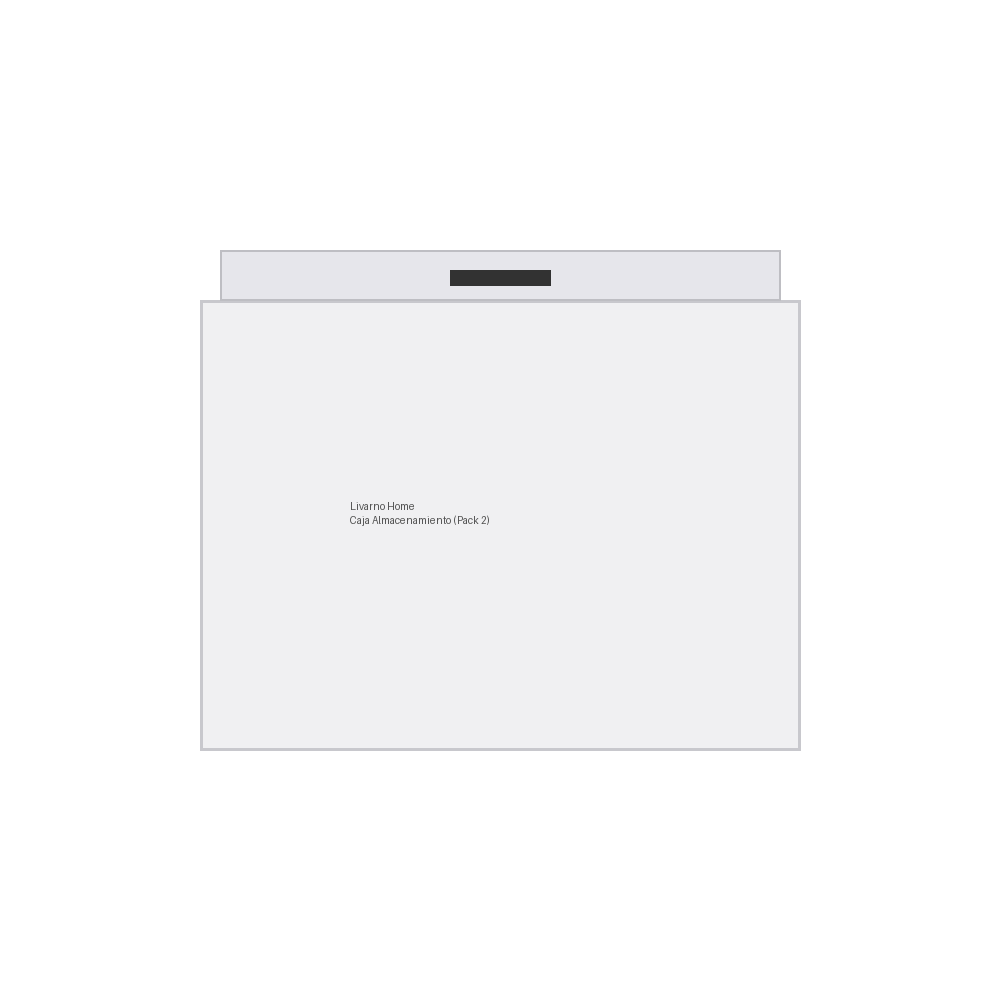 Livarno Home Caja Almacenamiento Plastico Tapa (Pack 2)